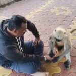 WhatsApp Image 2025-09-11 at 8.23.24 PM