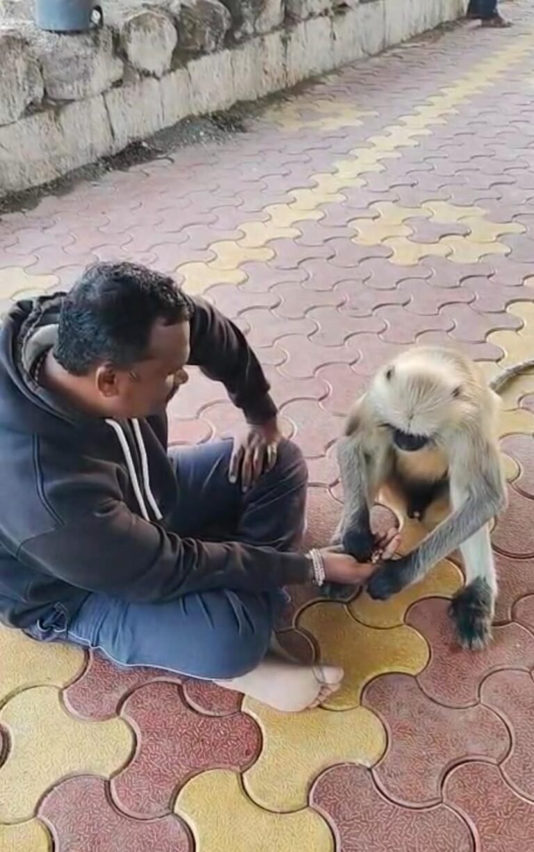 WhatsApp Image 2025-09-11 at 8.23.24 PM