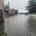 WhatsApp Image 2025-09-28 at 11.23.27 AM