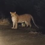 WhatsApp Image 2025-10-08 at 11.20.59 PM